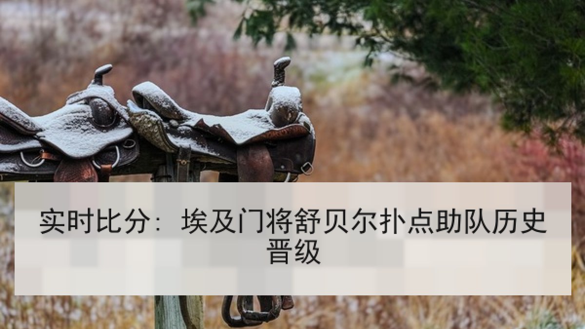实时比分: 埃及门将舒贝尔扑点助队历史晋级 实时比分: 埃及门将舒贝尔扑点助队历史晋级